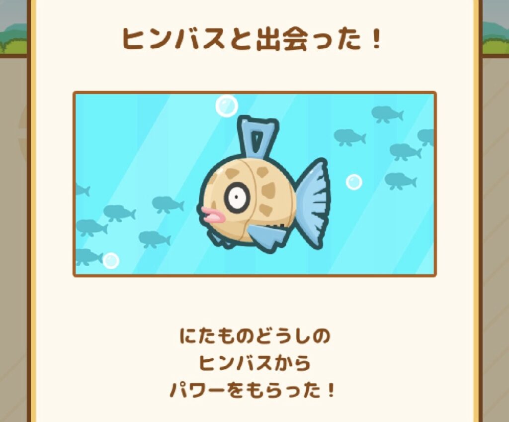 はねコイのヒンバスイベント